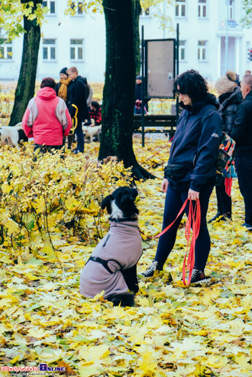 2023.10.29 - Parada Adopciaków