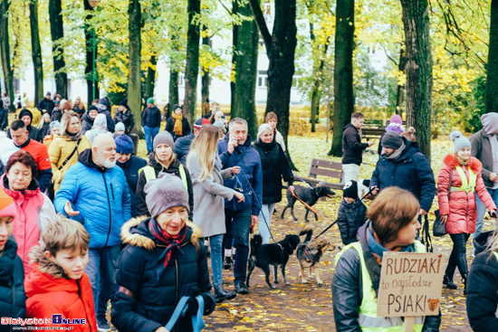 2023.10.29 - Parada Adopciaków