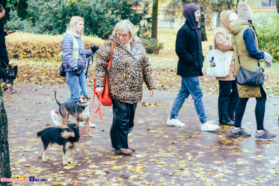 2023.10.29 - Parada Adopciaków