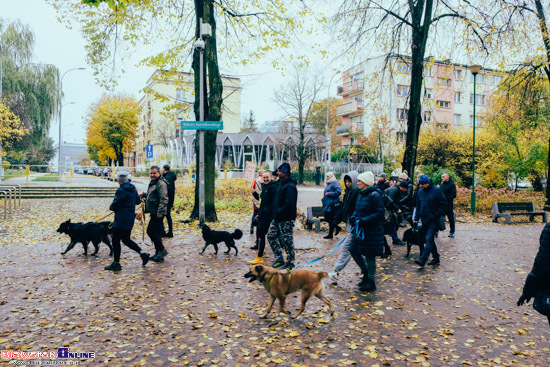 2023.10.29 - Parada Adopciaków