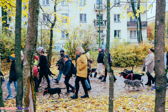 2023.10.29 - Parada Adopciaków