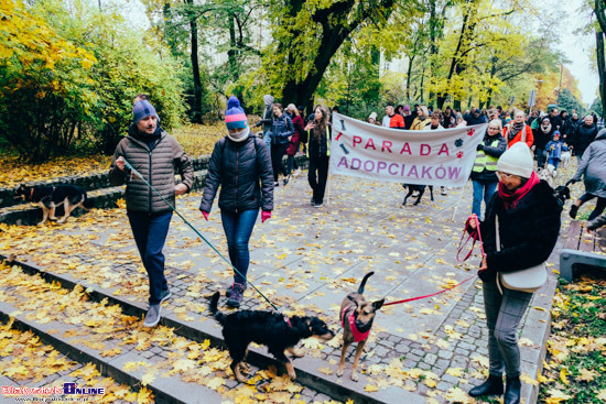 2023.10.29 - Parada Adopciaków