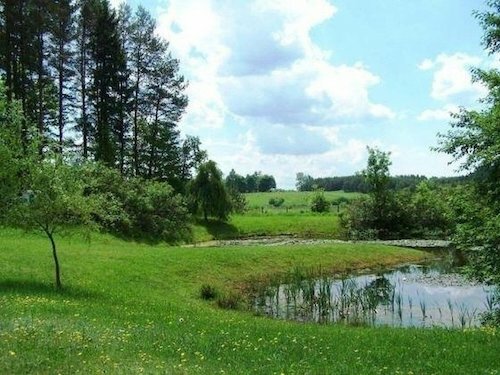 Arboretum w Kopnej Górze 