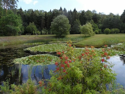 Arboretum w Kopnej Górze 