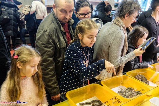 2024.02.25 Event terrarystyczny w Białymstoku