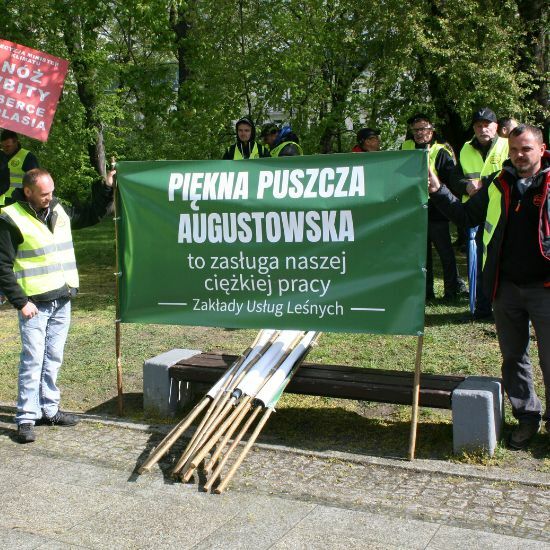 Protest branży drzewnej w Białymstoku 