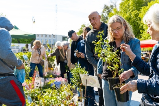 2024.04.27 - Jarmark ogrodniczy 