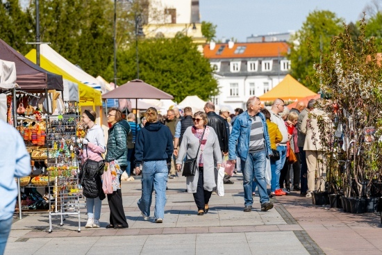 2024.04.27 - Jarmark ogrodniczy 