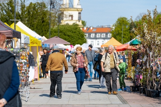 2024.04.27 - Jarmark ogrodniczy 