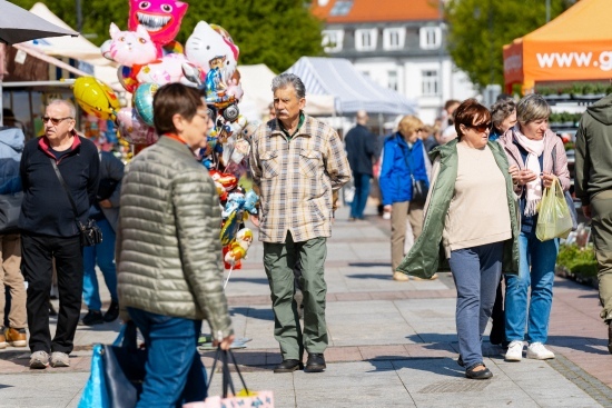 2024.04.27 - Jarmark ogrodniczy 