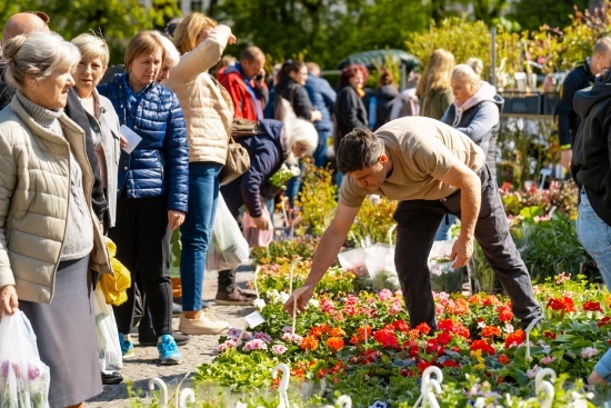 2024.04.27 - Jarmark ogrodniczy 