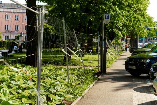 2024.05.22 - Skwer im. Pawła Adamowicza odnowiony. Jak teraz wygląda?