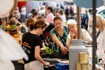 2024.06.09 - Podlaskie Święto Sera w Muzeum Kultury Ludowej