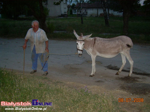 Wyprawa rowerowa Żółta Koza 2008