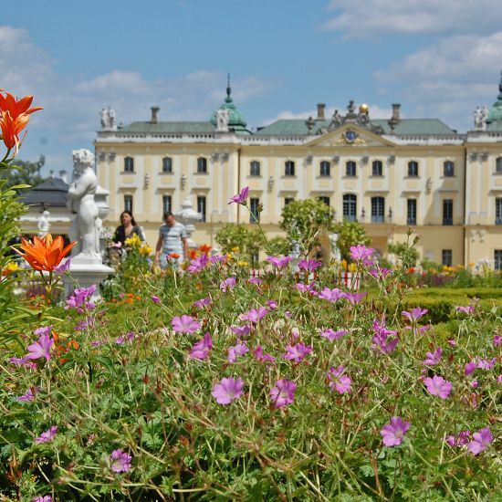 Letnie kwiaty w Białymstoku 