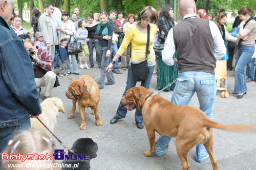 Dni Miasta Białegostoku 2009: Urodziny Kawelina