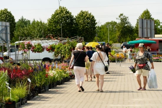 2024.07.13 - Dwudniowe Targi Ogrodnicze. Targowisko EKO Centrum przy Andersa