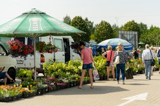 2024.07.13 - Dwudniowe Targi Ogrodnicze. Targowisko EKO Centrum przy Andersa