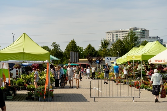 2024.07.13 - Dwudniowe Targi Ogrodnicze. Targowisko EKO Centrum przy Andersa