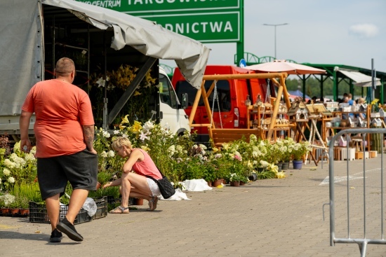 2024.07.13 - Dwudniowe Targi Ogrodnicze. Targowisko EKO Centrum przy Andersa