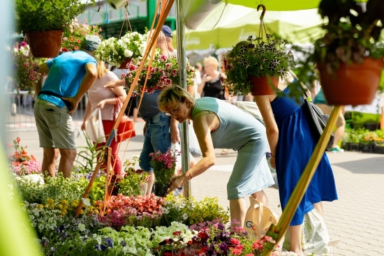 2024.07.13 - Dwudniowe Targi Ogrodnicze. Targowisko EKO Centrum przy Andersa