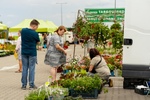 2024.07.13 - Dwudniowe Targi Ogrodnicze. Targowisko EKO Centrum przy Andersa