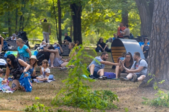 2024.08.15 - Electrum Ambient Park. Nastrojowe dźwięki w Parku Konstytucji 3 maja