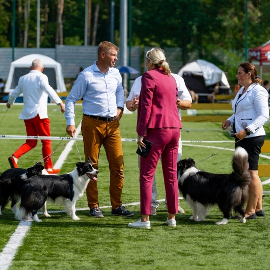 2024.08.24 - Międzynarodowa Wystawa Psów Rasowych. Najpiękniejsze psy świata w Białymstoku