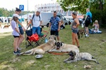 2024.08.24 - Międzynarodowa Wystawa Psów Rasowych. Najpiękniejsze psy świata w Białymstoku