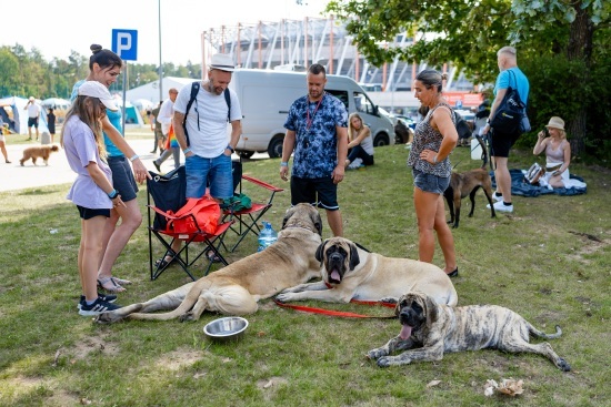 2024.08.24 - Międzynarodowa Wystawa Psów Rasowych. Najpiękniejsze psy świata w Białymstoku