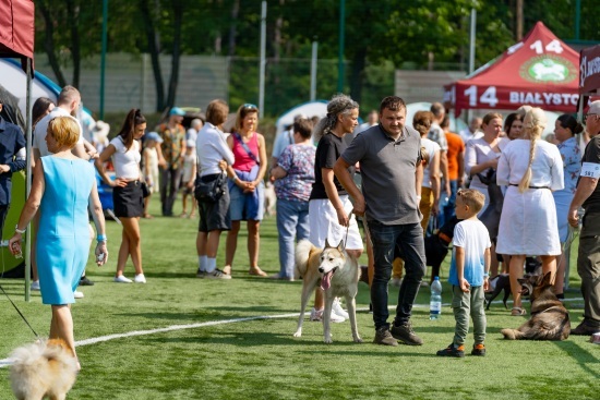 2024.08.24 - Międzynarodowa Wystawa Psów Rasowych. Najpiękniejsze psy świata w Białymstoku