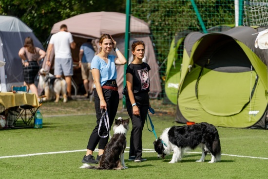 2024.08.24 - Międzynarodowa Wystawa Psów Rasowych. Najpiękniejsze psy świata w Białymstoku