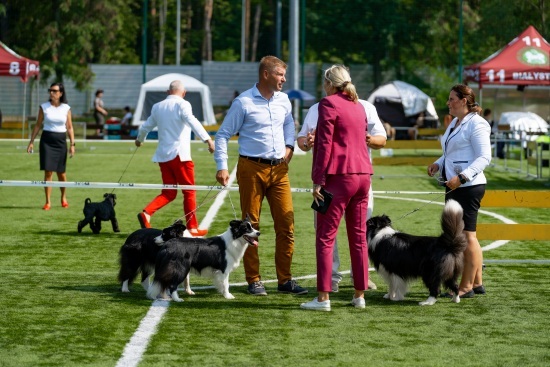 2024.08.24 - Międzynarodowa Wystawa Psów Rasowych. Najpiękniejsze psy świata w Białymstoku