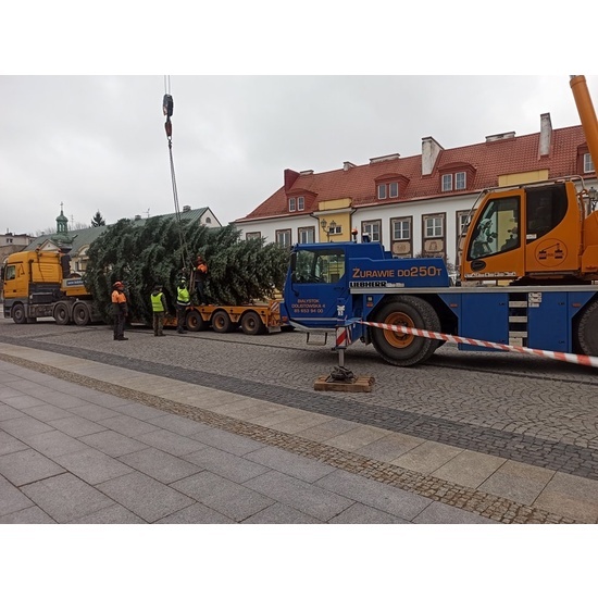 Rynek Kościuszki. Montaż choinki i przygotowania do jarmarku