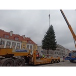 Rynek Kościuszki. Montaż choinki i przygotowania do jarmarku