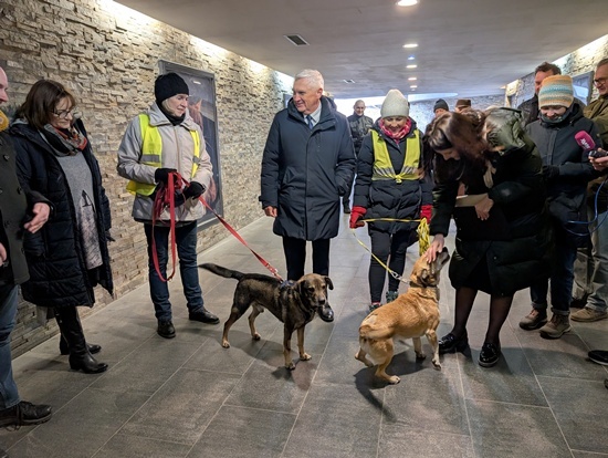 Wystawa ze zdjęciami zwierząt z białostockiego schroniska