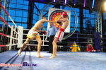 Gala Shindokai Karate i Muaythai Night of White Bears II