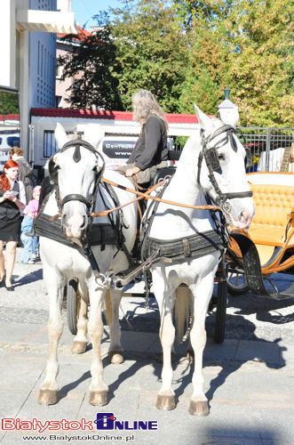 III Expo Ślubne