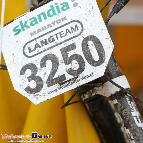 Skandia Maraton Lang Team