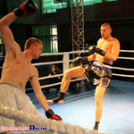 Gala Shindokai Karate i Muaythai \"Night of White Bears III\"