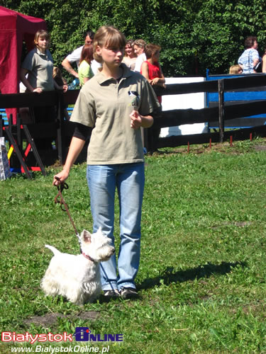 Piknik Agility