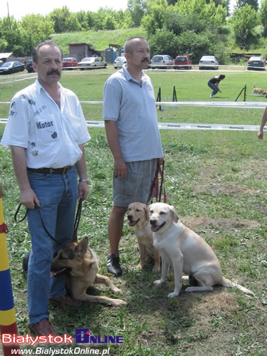 Piknik Agility