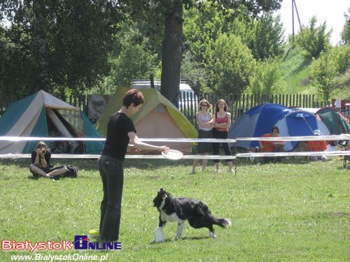 Piknik Agility