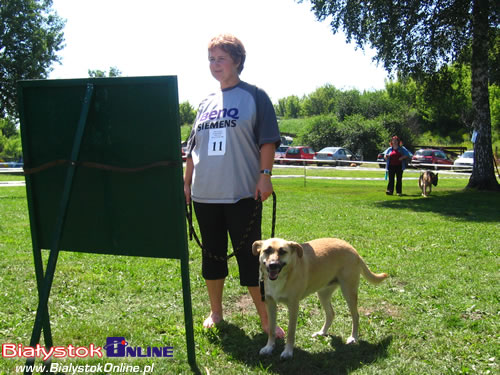 Piknik Agility