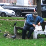 Białystok walczy z problemem psich odchodów i dokarmiania gołębi