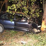 Samochód uderzył w drzewo. Jedna osoba nie żyje, dwie ranne