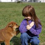 Psiaki i dzieciaki - zajęcia dla dzieci z udziałem psów