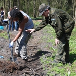 Zagraniczni studenci posadzili nowy las na Podlasiu
