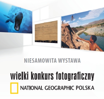 Świat zatrzymany w kadrze obiektywu. Wielki Konkurs Fotograficzny National Geographic