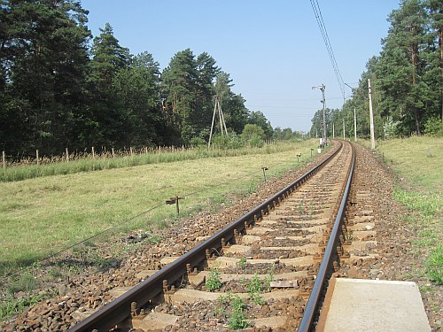 Dwie spółki chcą organizować przewozy kolejowe w Podlaskiem